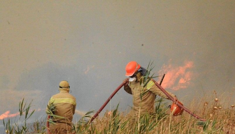 Yangınların yüzde 57'si orman dışında