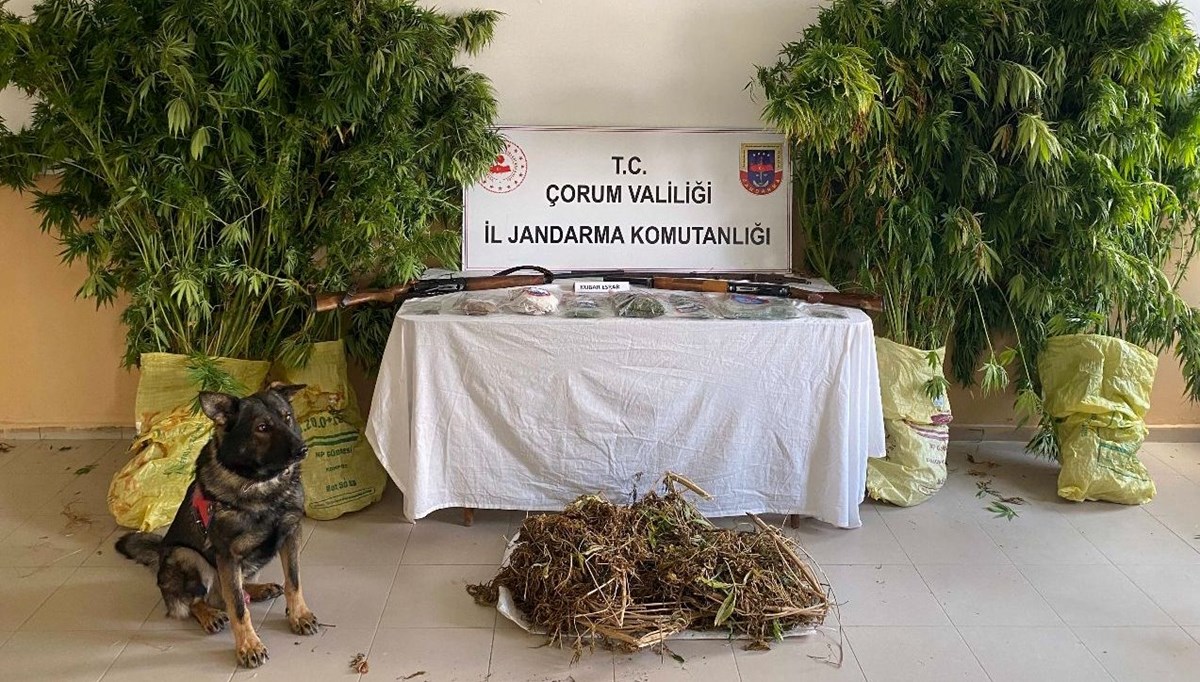 Çorum'da uyuşturucu tutuklaması