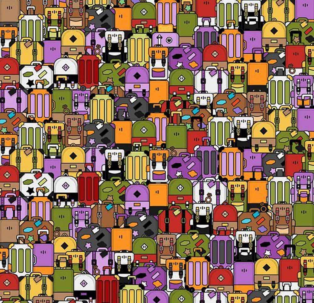 Bu görsel size kim olduğunuzu söylüyor: Resimde ilk önce hangi hayvanı gördünüz? - 26