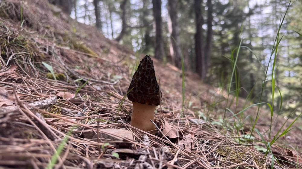 Cno1i86k2k2wpo6avJ4jBQ