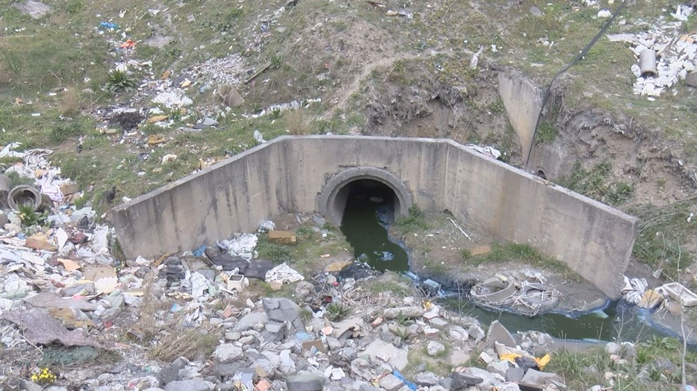 Alibeyköy Barajı'na giden dereden zehir akıyor: Çevredeki hayvanların öldüğü iddiası - 5