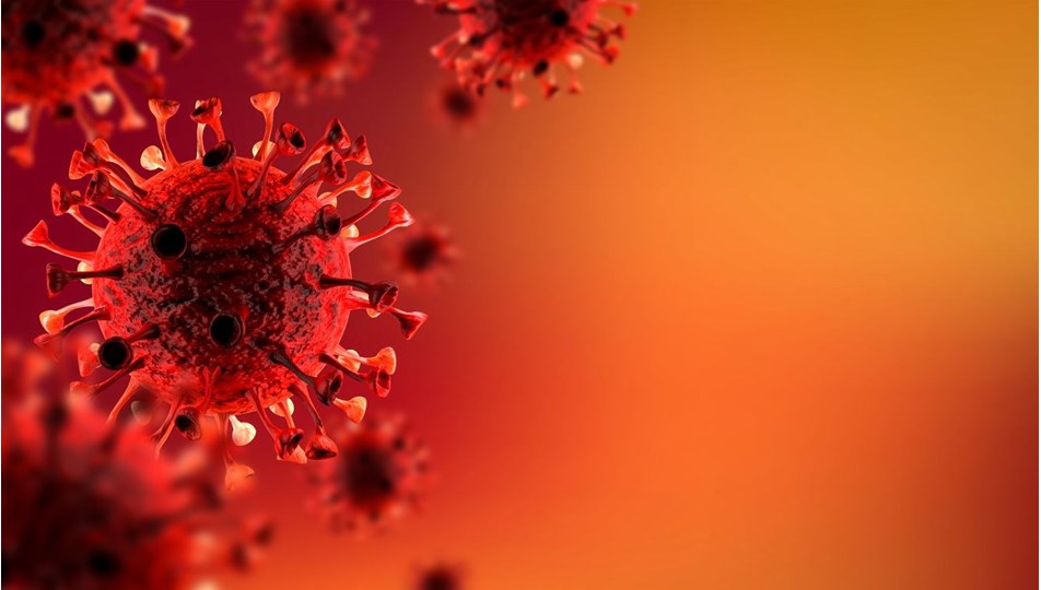 26 Mayıs 2021 corona virüs tablosu: 166 can kaybı, 8 bin 738 yeni vaka