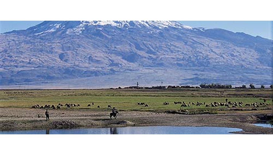 Ağrı Dağı'nın çöpü