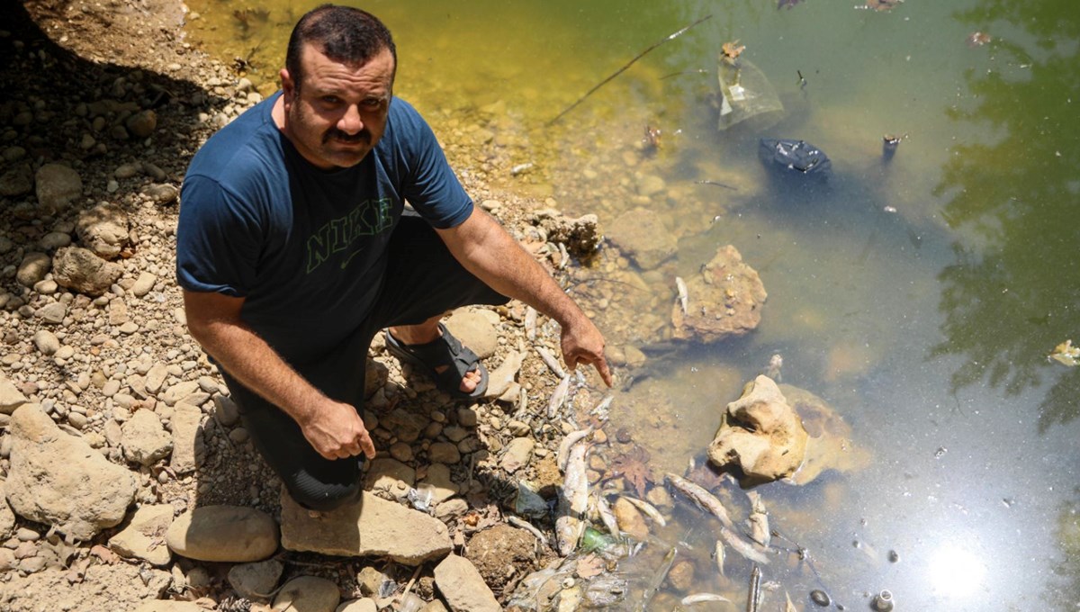 Su seviyesi düştü: Endemik yüzlerce balık öldü