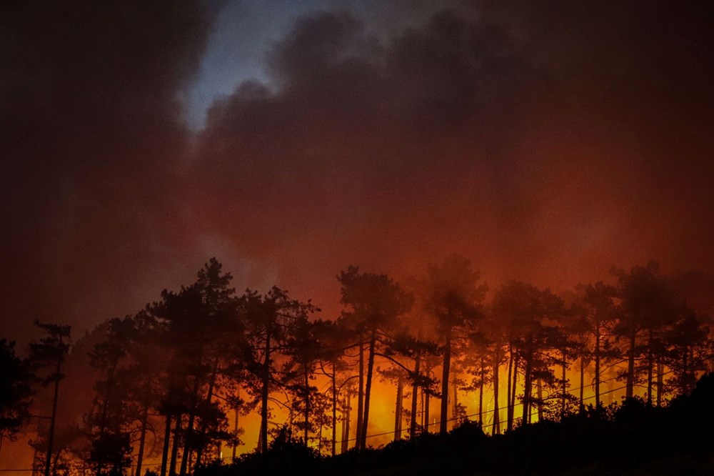 DMM'den, "Orman Yangınları ile İlgili İddialar ve Gerçekler" bülteni - 4
