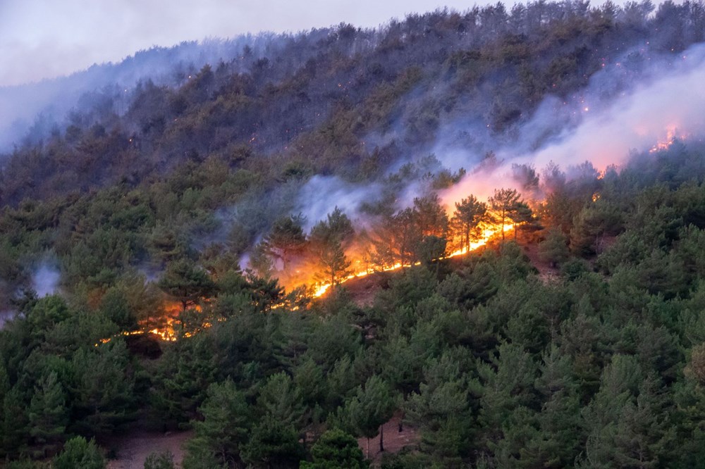 Hatay'da 2 orman yangını - 10