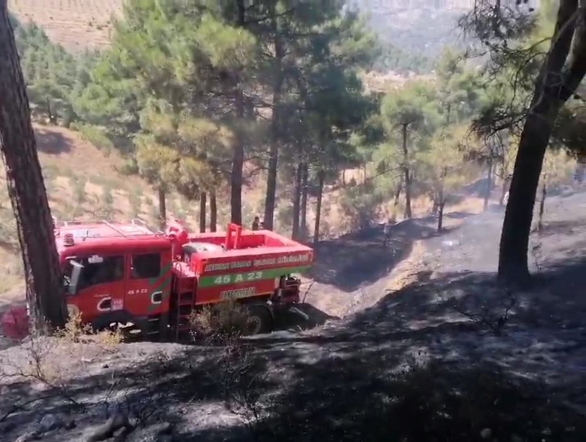 Kahramanmaraş ve Denizli’de orman yangını: Ekiplerin müdahalesi sürüyor