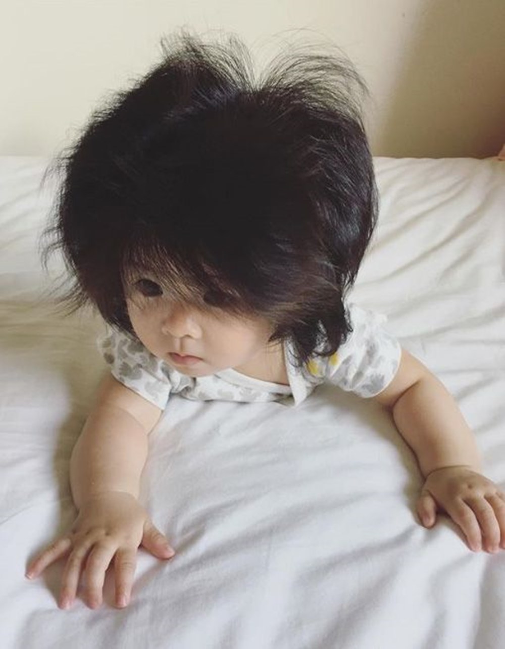 Bebek Chanco 1 yaşında reklam yüzü oldu Magazin Bebek Chanco 1 yaşında reklam yüzü oldu Magazin