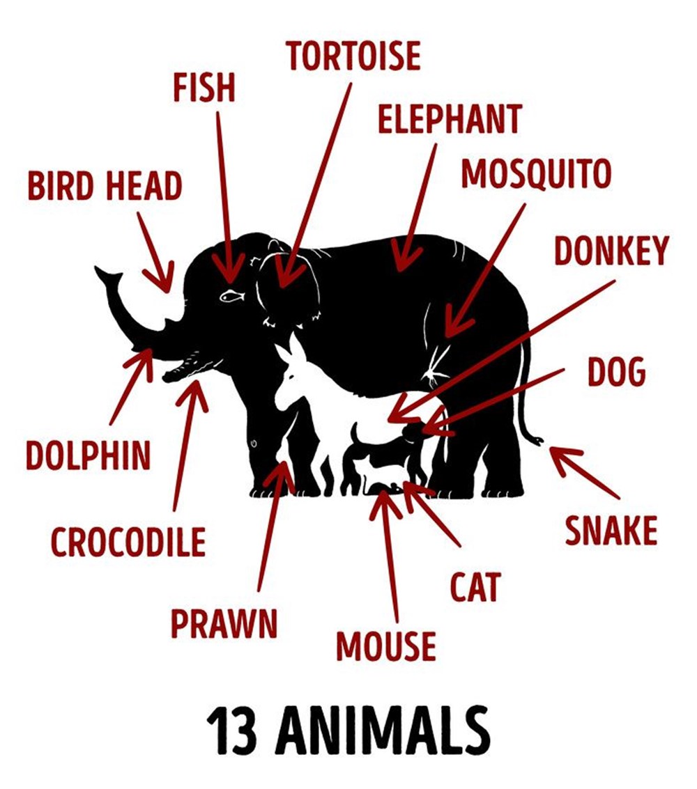 Bu görsel size kim olduğunuzu söylüyor: Resimde ilk önce hangi hayvanı gördünüz? - 95