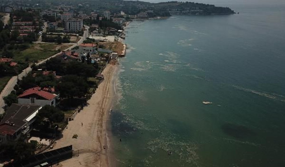 Darıca'da müsilaja rağmen denize girdiler - 7