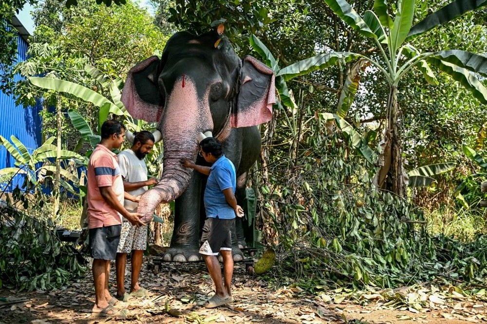 Hindistan'da Zulüm Sona Eriyor: Robot Filler Ritüelleri Dönüştürüyor! 72 Cycbatg 6UmDPbDfpwIkAw