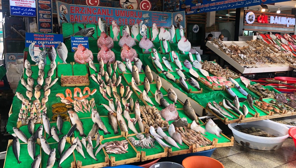 “Yağışlar devam ederse hamsi 10 TL’ye kadar düşer”