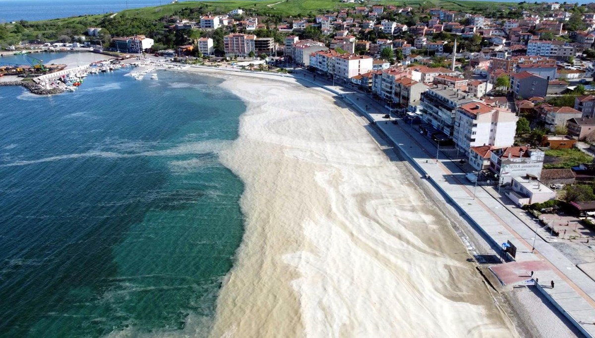 Marmara Denizi'nde tehlikeli ısınma Marmara Denizi'nde tehlikeli ısınma