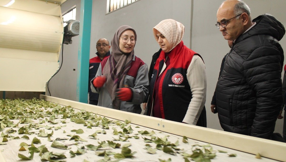 Devletten hibe aldı, kapasiteyi 3'e katladı Devletten hibe aldı, kapasiteyi 3'e katladı