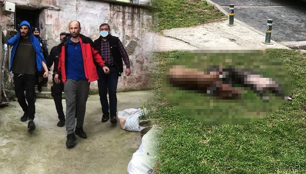 Sahipleri kendilerine saldıran iki pitbullu öldürdü