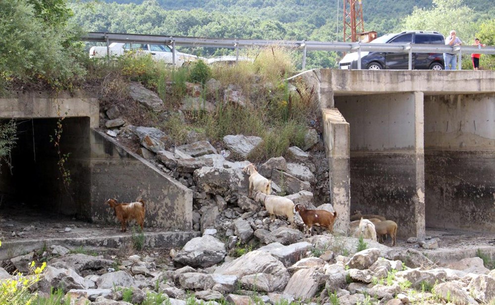 İstanbul'un su ihtiyacını karşılayan Trakya'daki barajlar kurudu - 15