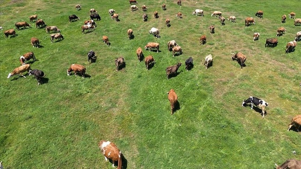 D4jlURMXD0mrzKiWgzyGVw