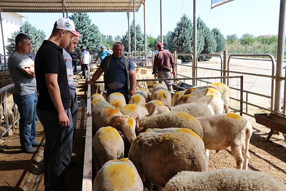 D57jhn64OkeWiPW9ksc2QQ