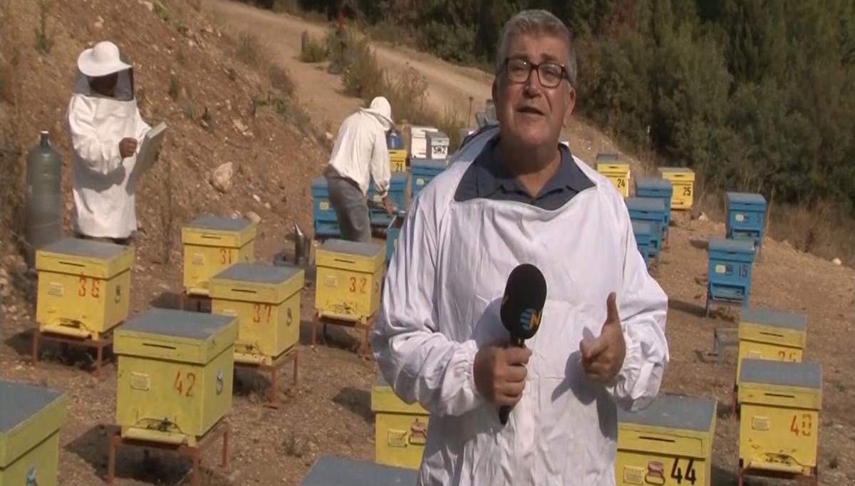 Arıcıların bal mesaisi (Yıllık 100 bin ton üretimle Türkiye dünyada ikinci sırada)