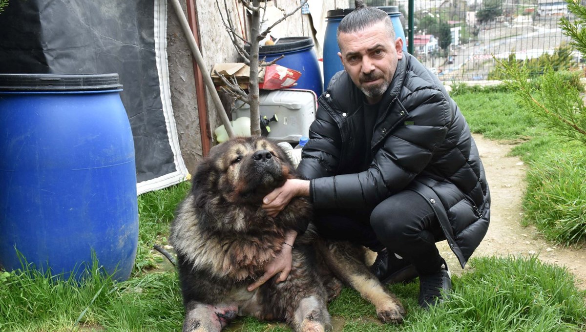 Çalamadığı köpeği pompalı tüfekle vurdu