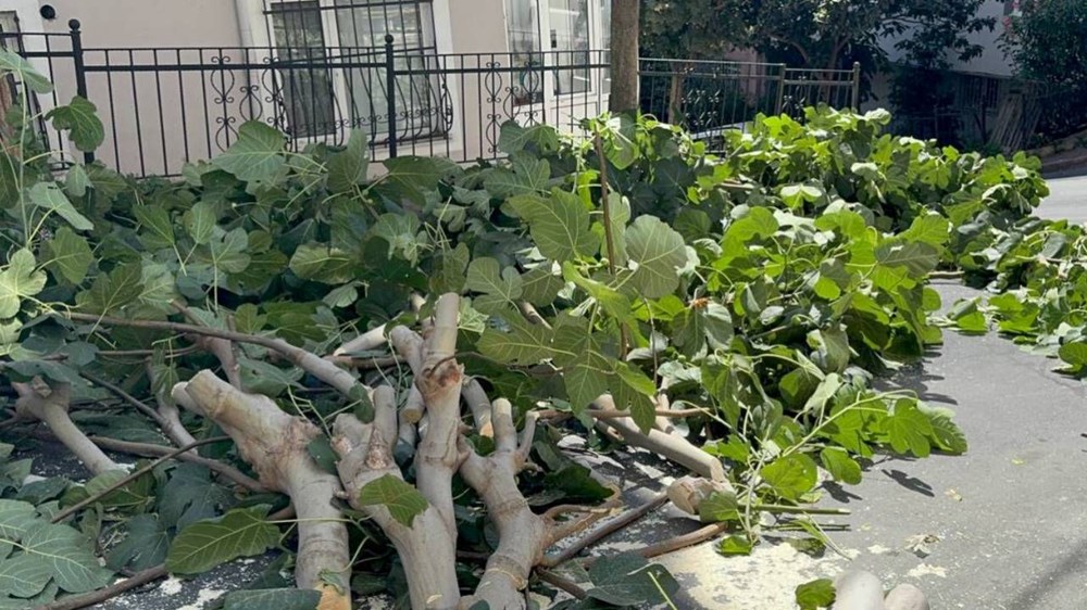 İstanbul'u fırtına vurdu: Ağaçlar devrildi, iki kişi yaralandı - 1