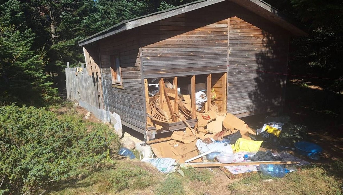 Ayı girdi, barakada hasar oluşturdu