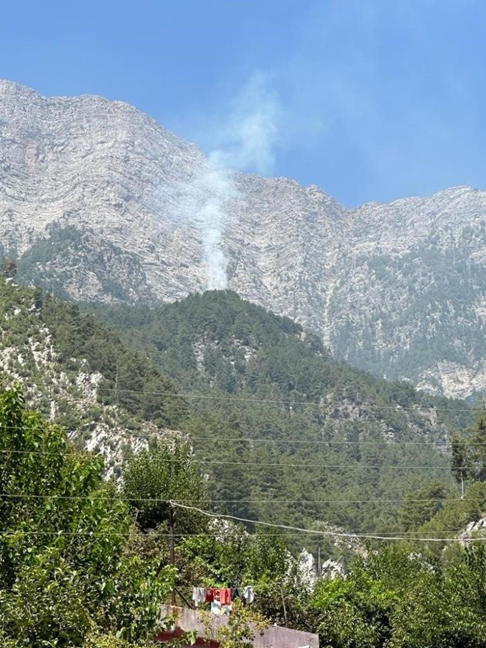 Osmaniye'de orman yangını - 1