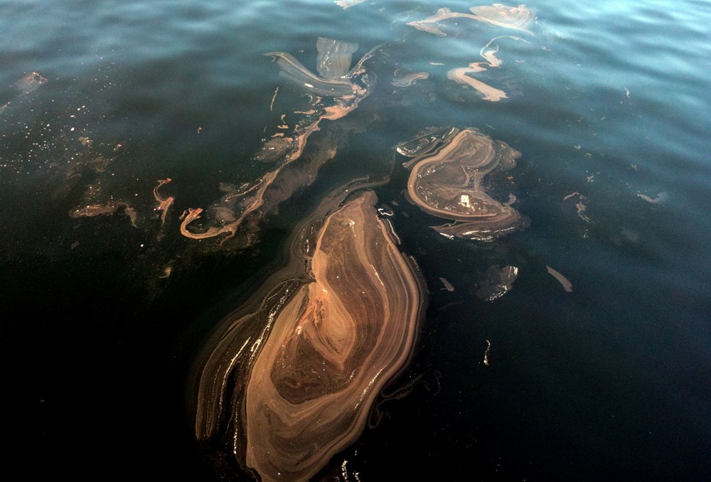 İstanbul’da müsilaj yeniden görüldü - 3