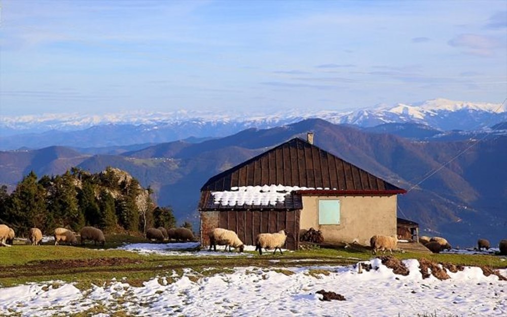 Trabzon�da doğal güzellikleriyle öne çıkan Hıdırnebi Yaylası, Uzungöl�e