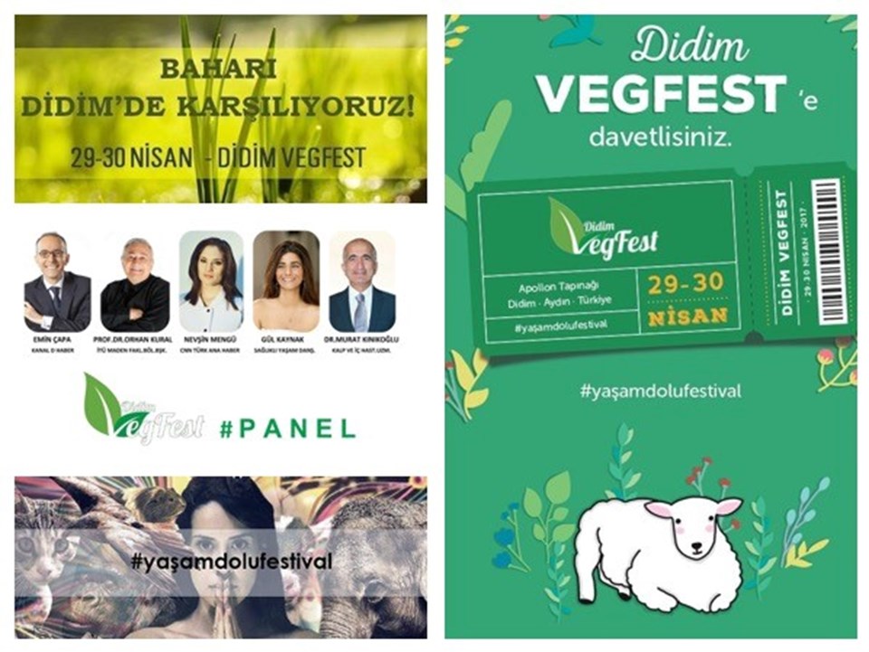 Türkiye'nin ilk vegan festivali Didim Vegfest 29-30 Nisan'da - 1