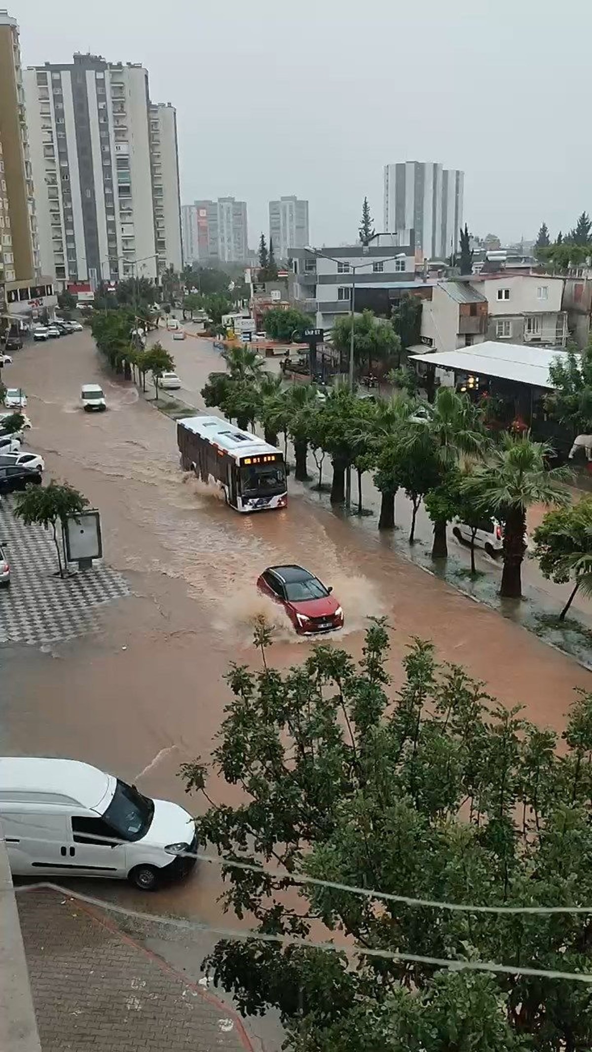 DCNZ4aLpckiwIMlEEjuuHw.jpg