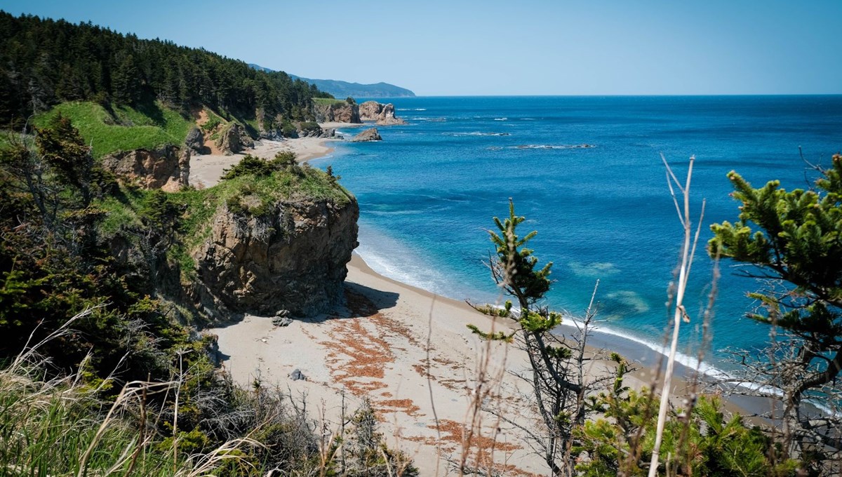 Rusya'daki Sahalin Adası'na giden turistlere para ödenecek