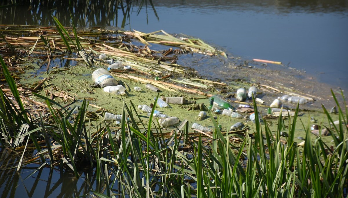 Tunca Nehri atıklarla çöplüğe döndü
