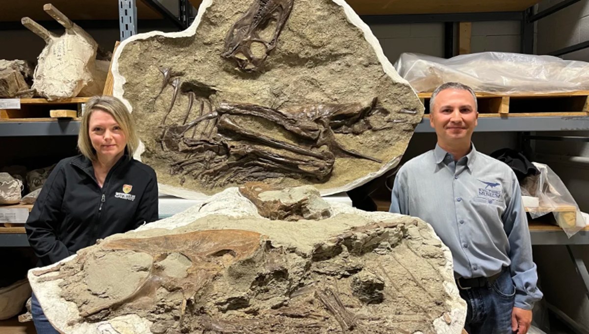 Dinozorun son akşam yemeği: 75 milyon yaşında Dinozorun son akşam yemeği: 75 milyon yaşında