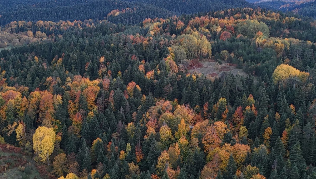Sinop’ta sonbahar renkleri
