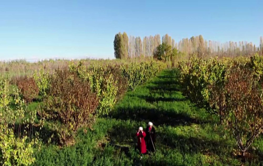Hz. Adem ve Havva'nın yaşadığına inanılan İrem Bağları'na ziyaretçi akını - 4