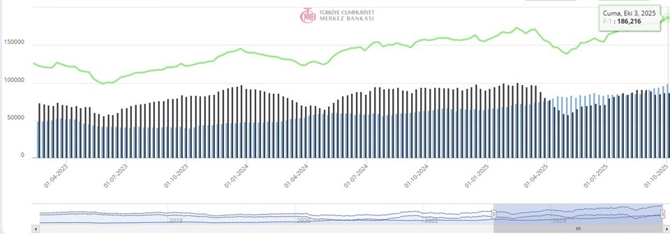 Merkez Bankası'nın rezervleri rekor kırdı - 1