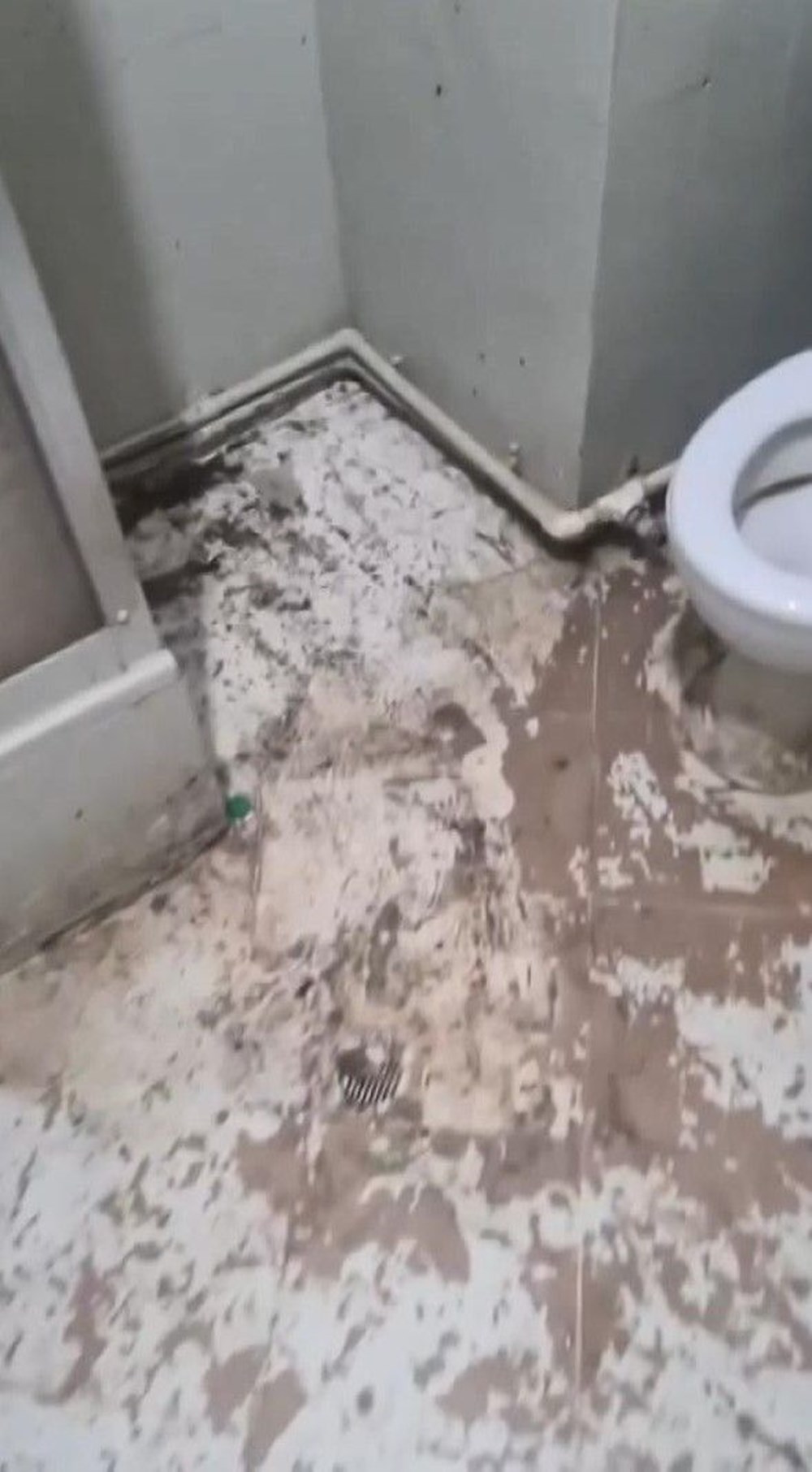 İstanbul’da kiraladığı evi başkasına kiraladı: Balkon ve banyoya
bile yatak koydular - 6