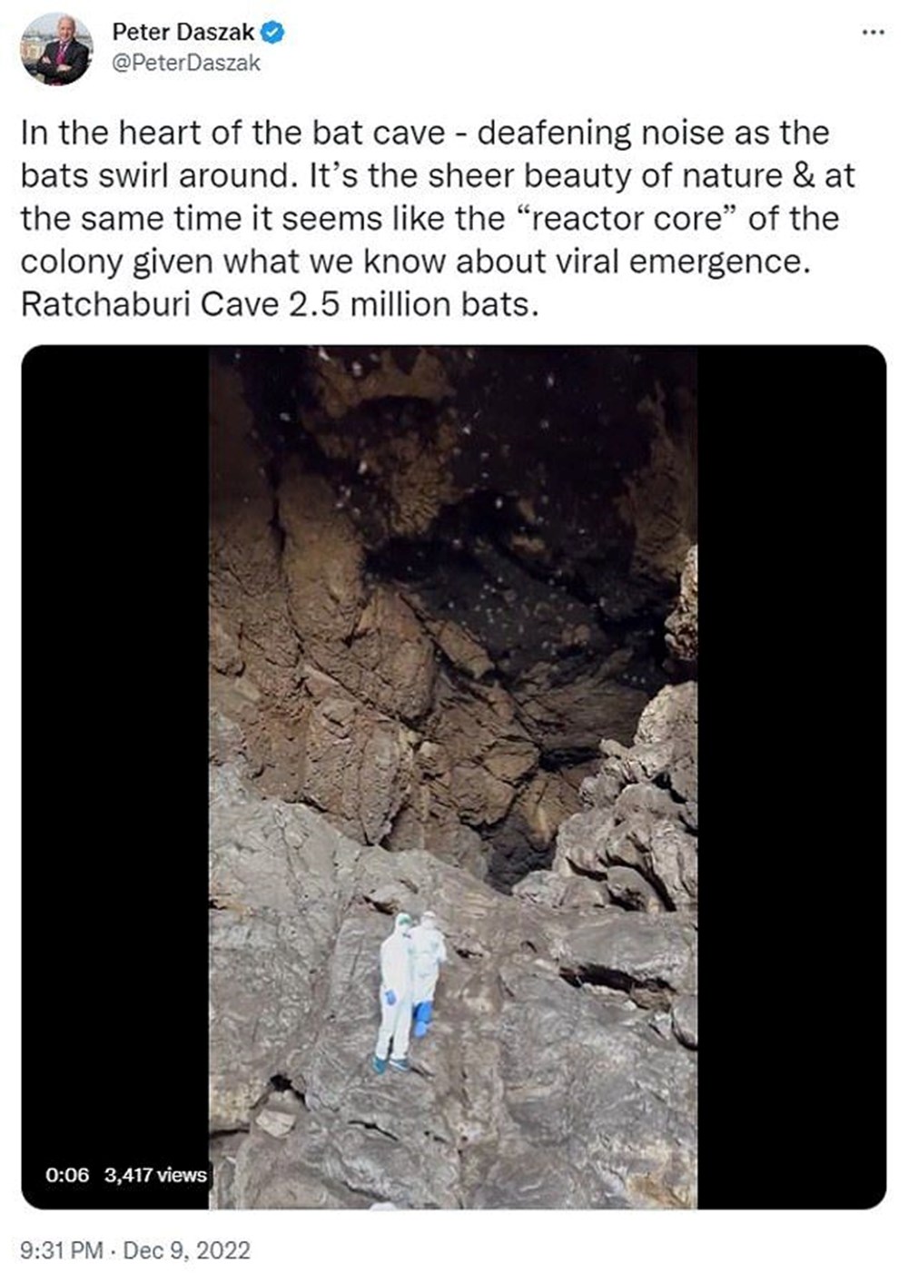 İngiliz bilim insanı: Covid-19’un merkezi Tayland'daki bir mağara - 5