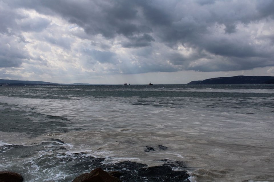 Marmara'dan sonra şimdi de Ege'de: Müsilaj tehlikesi büyüyor mu? - 2