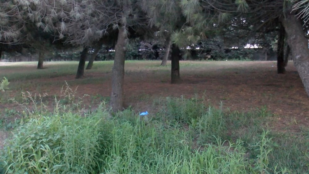 Başakşehir'de yol kenarında kadın cesedi bulundu - 6