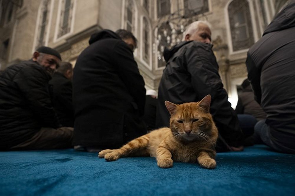11 Nisan cuma namazı saatleri: Cuma namazı saat kaçta kılınacak? 73 DWTdYGCLnU