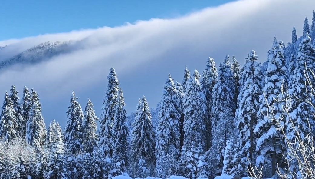 Artvin'de sis bulutları görsel şölen sundu