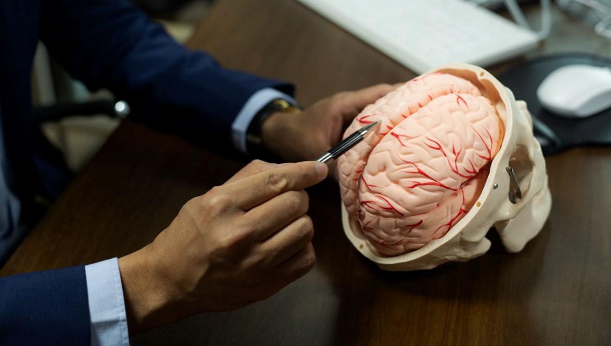 Bilim insanları vücuttan bağımsız olan beyni canlı tutmayı başardı