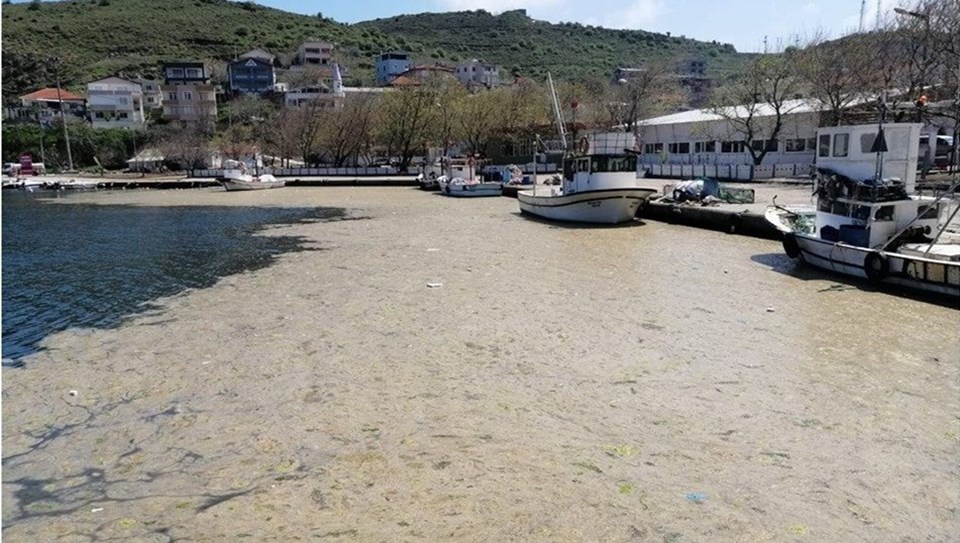 Ergene Nehri'nin yükü felaketi artırabilir - 1