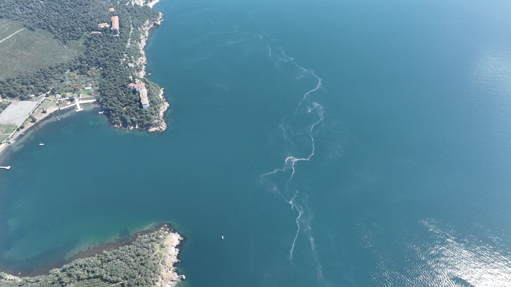 İstanbul Sularında Alarm: Müsilaj Kabusu Geri mi Dönüyor? 74 DZrAmfjTzkaZ2PBtSOQXLA