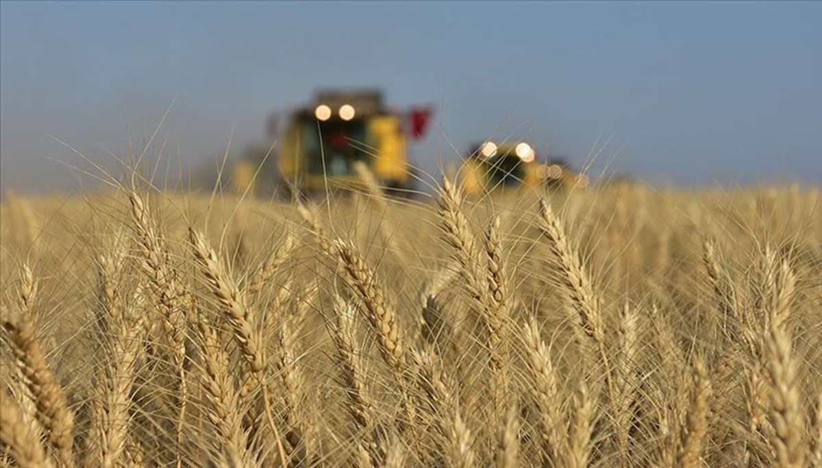 TZOB Başkanı Bayraktar'dan buğday alım fiyatının güncellenmesi talebi