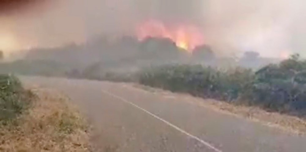 'Benzeri görülmemiş felaket': İtalya Sardunya Adası’nda yangın - 10
