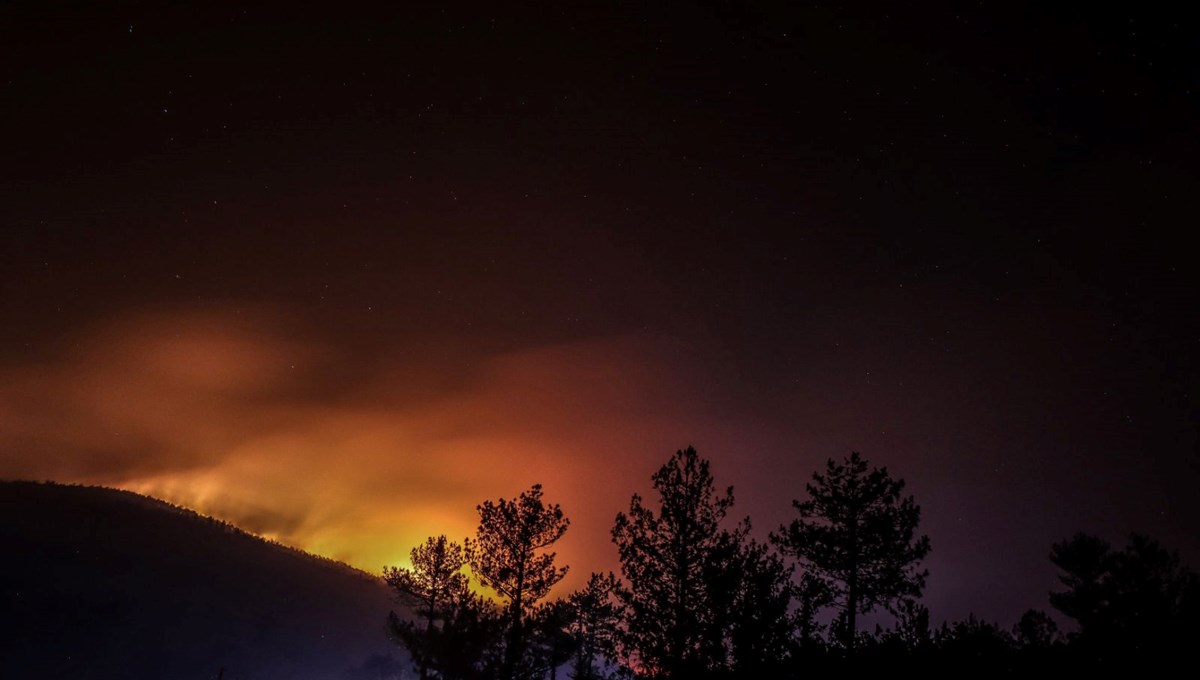Bursa'da orman yangını: 4 gözaltı