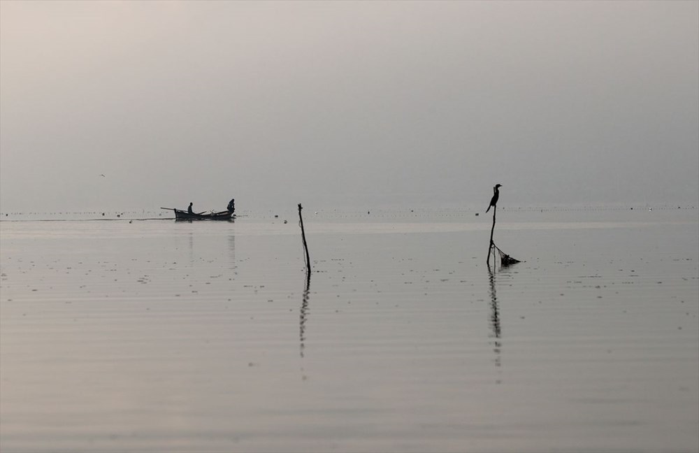 Kuş cenneti Bafa Gölü'nde korkutan görüntü - 11